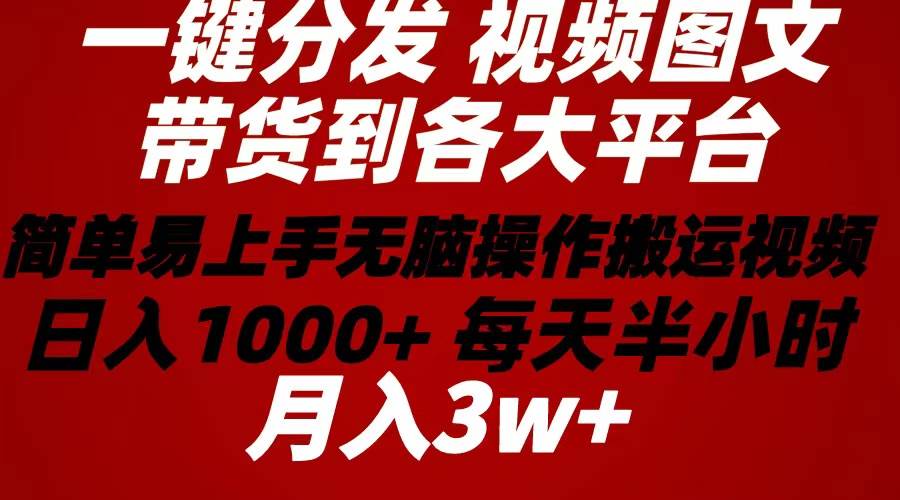 （10667期）2024年 一键分发带货图文视频  简单易上手 无脑赚收益 每天半小时日入1…-时光论坛