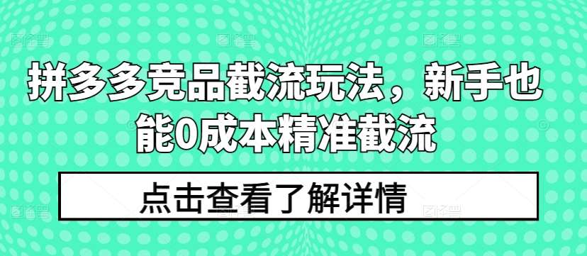 拼多多竞品截流玩法，新手也能0成本精准截流-时光论坛