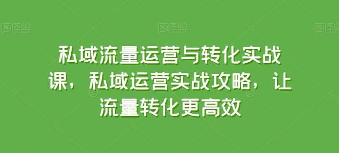 私域流量运营与转化实战课，私域运营实战攻略，让流量转化更高效-时光论坛