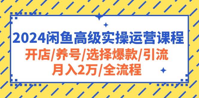 （10711期）2024闲鱼高级实操运营课程：开店/养号/选择爆款/引流/月入2万/全流程-时光论坛