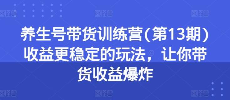 养生号带货训练营(第13期)收益更稳定的玩法，让你带货收益爆炸-时光论坛