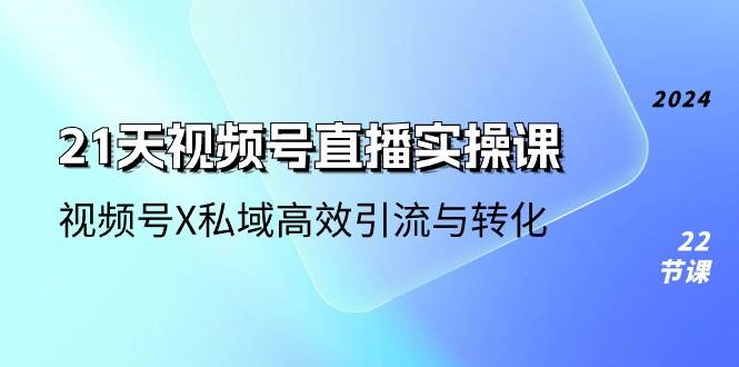 （10966期）21天-视频号直播实操课，视频号X私域高效引流与转化（22节课）-时光论坛