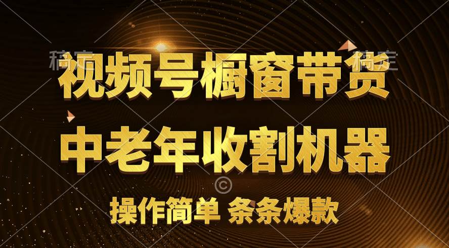 （11009期）[你的孩子成功取得高位]视频号最火爆赛道，橱窗带货，流量分成计划，条…-时光论坛