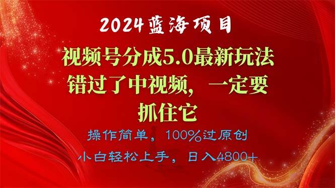 （11032期）2024蓝海项目，视频号分成计划5.0最新玩法，错过了中视频，一定要抓住…-时光论坛