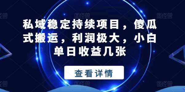 私域稳定持续项目，傻瓜式搬运，利润极大，小白单日收益几张【揭秘】-时光论坛
