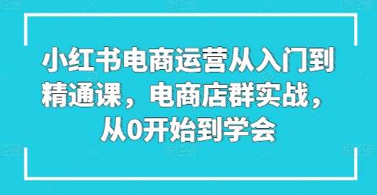 小红书电商运营从入门到精通课，电商店群实战，从0开始到学会-时光论坛