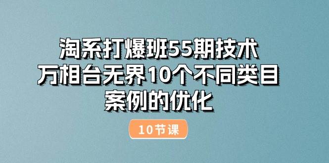 （10996期）淘系打爆班55期技术：万相台无界10个不同类目案例的优化（10节）-时光论坛