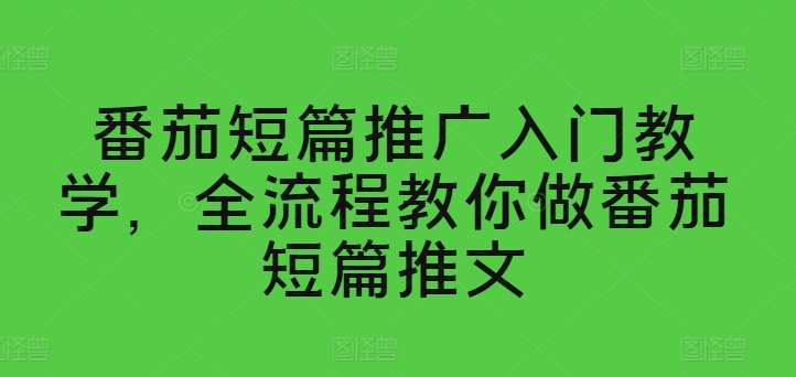 番茄短篇推广入门教学，全流程教你做番茄短篇推文-时光论坛