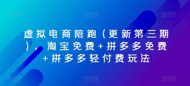 虚拟电商陪跑(更新第三期)，淘宝免费+拼多多免费+拼多多轻付费玩法-时光论坛