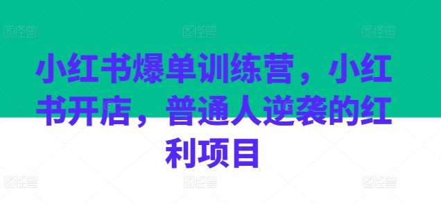 小红书爆单训练营，小红书开店，普通人逆袭的红利项目-时光论坛