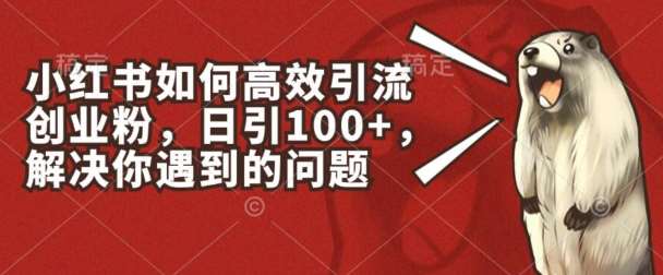 小红书如何高效引流创业粉，日引100+，解决你遇到的问题【揭秘】-时光论坛