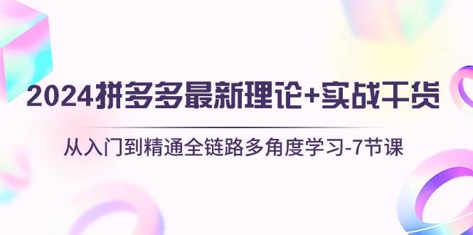 （10816期）2024拼多多 最新理论+实战干货，从入门到精通全链路多角度学习-7节课-时光论坛