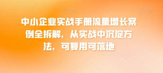 中小企业实战手册流量增长案例全拆解，从实战中沉淀方法，可复用可落地-时光论坛