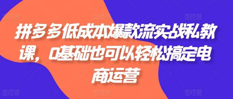 拼多多低成本爆款流实战私教课，0基础也可以轻松搞定电商运营-时光论坛