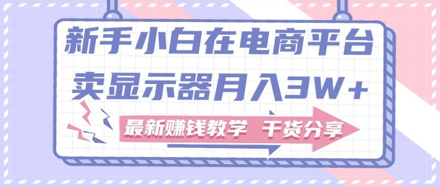 （11053期）新手小白如何做到在电商平台卖显示器月入3W+，最新赚钱教学干货分享-时光论坛