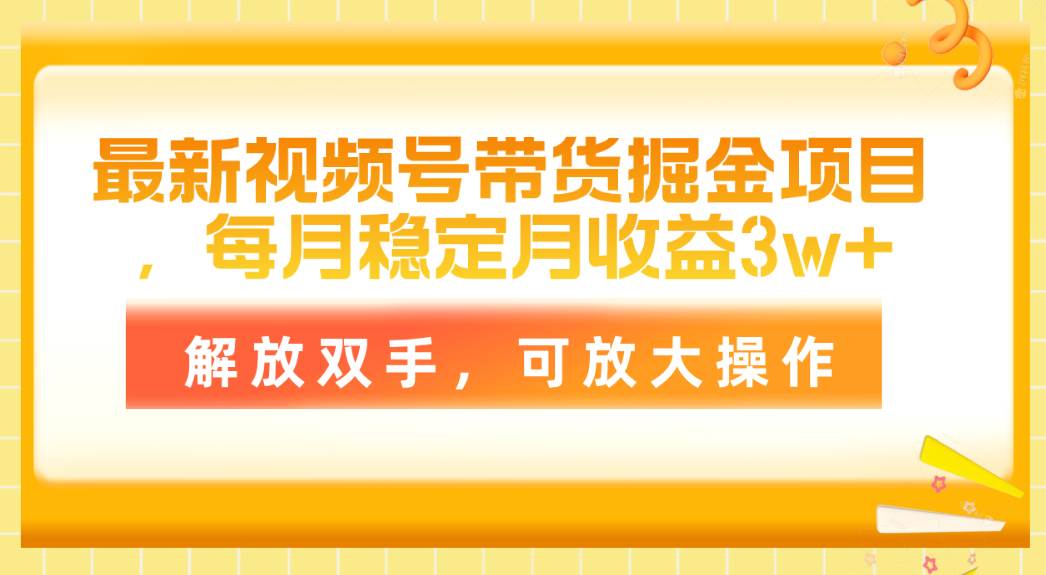 （11010期）最新视频号带货掘金项目，每月稳定月收益3w+，解放双手，可放大操作-时光论坛