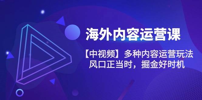 （10833期）海外内容 运营课【中视频】多种内容运营玩法 风口正当时 掘金好时机-101节-时光论坛