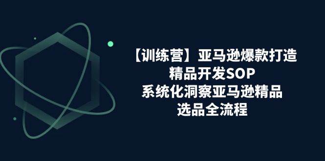 （11210期）【训练营】亚马逊爆款打造之精品开发SOP，系统化洞察亚马逊精品选品全流程-时光论坛