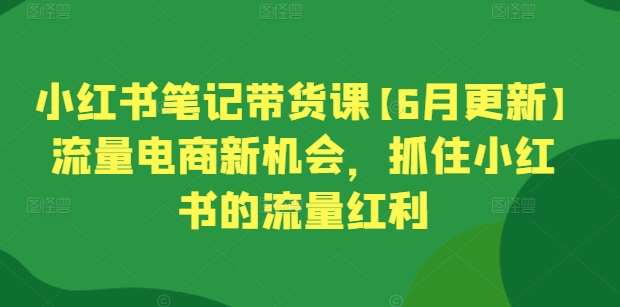小红书笔记带货课【6月更新】流量电商新机会，抓住小红书的流量红利-时光论坛