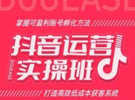 抖音运营实操班，掌握可盈利账号孵化方法，打造高效低成本获客系统-时光论坛