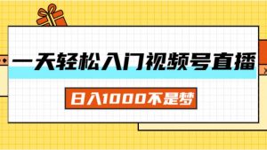 （11906期）一天入门视频号直播带货，日入1000不是梦-时光论坛