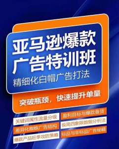 亚马逊爆款广告特训班,快速掌握亚马逊关键词库搭建方法,有效优化广告数据并提升旺季销量-时光论坛