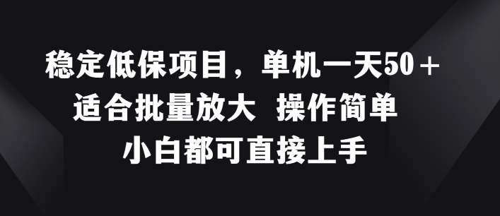 稳定低保项目，单机一天50+适合批量放大 操作简单 小白都可直接上手【揭秘】-时光论坛