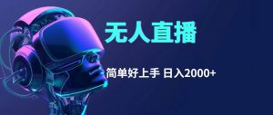 （11763期）快手无人直播，简单好上手，日入2000+-时光论坛