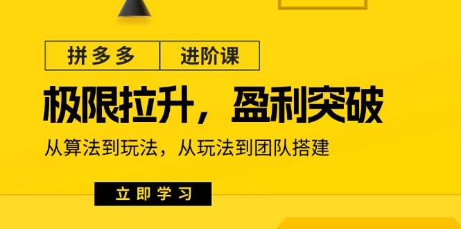 （11435期）拼多多·进阶课：极限拉升/盈利突破：从算法到玩法 从玩法到团队搭建-18节-时光论坛