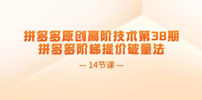 （11704期）拼多多原创高阶技术第38期，拼多多阶梯提价破量法（14节课）-时光论坛