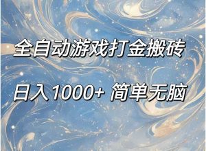 （11785期）全自动游戏打金搬砖，日入1000+简单无脑-时光论坛