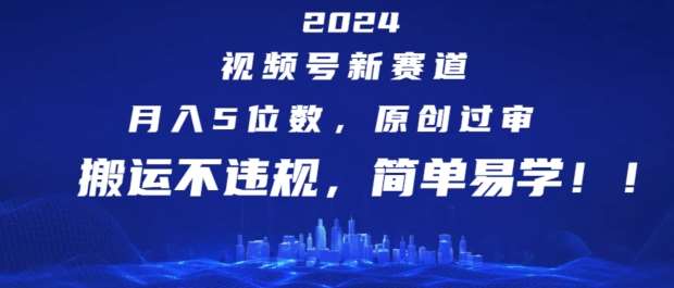 2024视频号新赛道，月入5位数+，原创过审，搬运不违规，简单易学【揭秘】-时光论坛