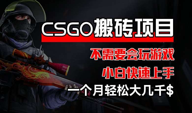 CSGO 装备搬砖项目，操作简单，不需要会玩游戏，小白也能快速上手，一个月轻松大几千【揭秘】-时光论坛