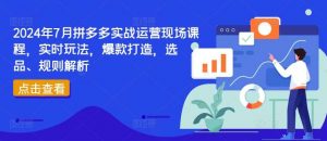 2024年7月拼多多实战运营现场课程，实时玩法，爆款打造，选品、规则解析-时光论坛