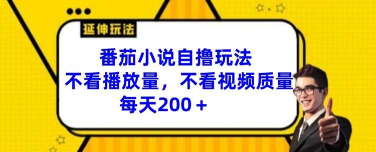 番茄小说自撸玩法，不看播放量，不看视频质量，每天200+【揭秘】-时光论坛