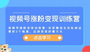视频号涨粉变现训练营-实现微信生态私域运营的3个维度,达到变现的最大化-时光论坛