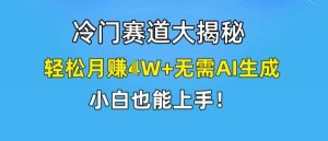 冷门赛道大揭秘，轻松月赚1W+无需AI生成，小白也能上手【揭秘】-时光论坛