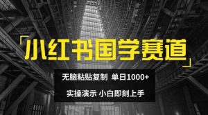 小红书国学赛道，无脑粘贴复制，单日1K，实操演示，小白即刻上手【揭秘】-时光论坛