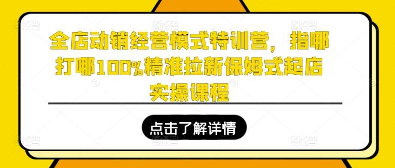 全店动销经营模式特训营，指哪打哪100%精准拉新保姆式起店实操课程-时光论坛