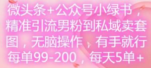 微头条+公众号小绿书，精准引流男粉到私域卖套图，无脑操作，有手就行，每单99-200，每天5单-时光论坛