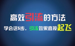 高效引流的方法,可以帮助你日引300+创业粉,一年轻松收入30万,比打工强太多!-时光论坛