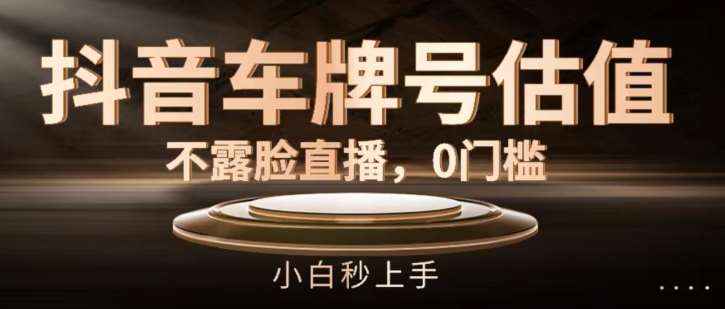抖音车牌号估值，不露脸直播，0门槛，小白秒上手【揭秘】-时光论坛