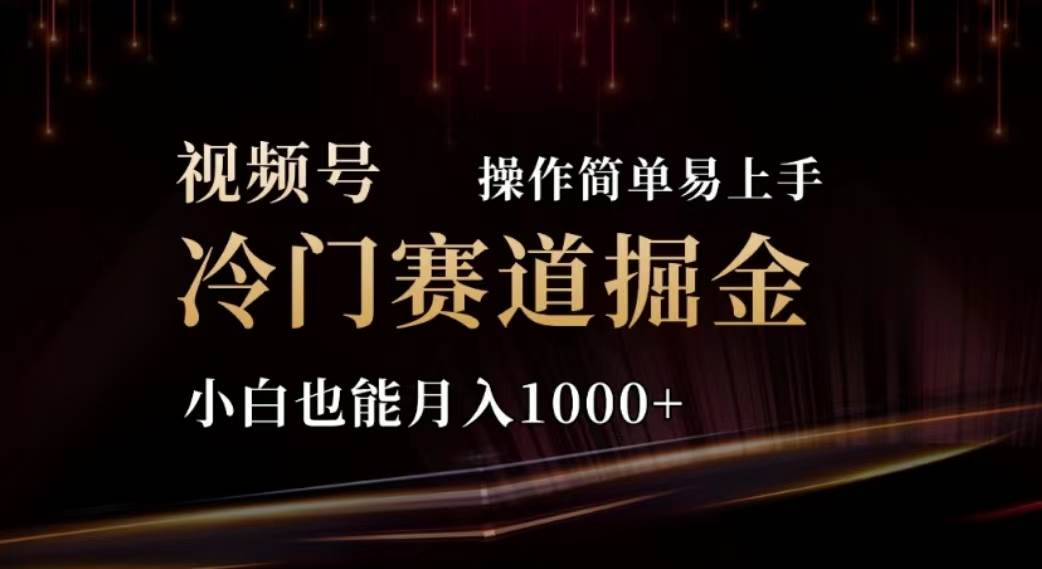 （11378期）2024视频号冷门赛道掘金，操作简单轻松上手，小白也能月入1000+-时光论坛