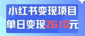 （11885期）利用小红书卖资料单日引流150人当日变现2610元小白可实操（教程+资料）-时光论坛