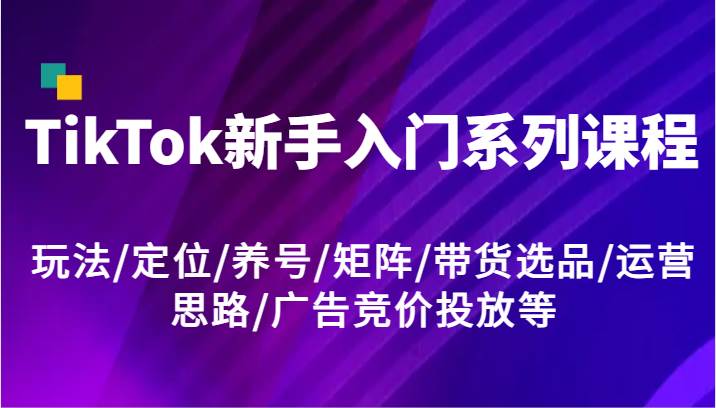 TikTok新手入门系列课程，玩法/定位/养号/矩阵/带货选品/运营思路/广告竞价投放等-时光论坛