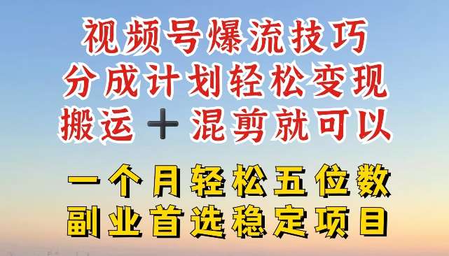 视频号爆流技巧，分成计划轻松变现，搬运 +混剪就可以，一个月轻松五位数稳定项目【揭秘】-时光论坛