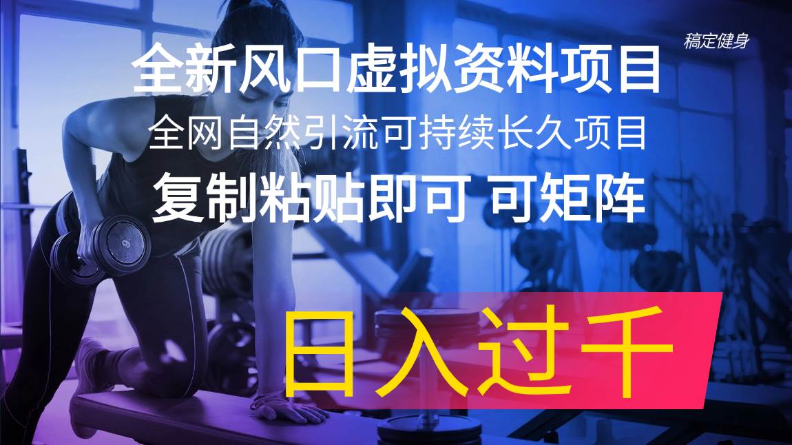 （11587期）全新风口虚拟资料项目 全网自然引流可持续长久项目 复制粘贴即可可矩阵…-时光论坛