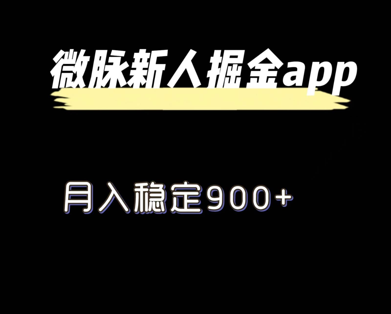 最新微脉长久项目，拉新掘金，月入稳定900+-时光论坛