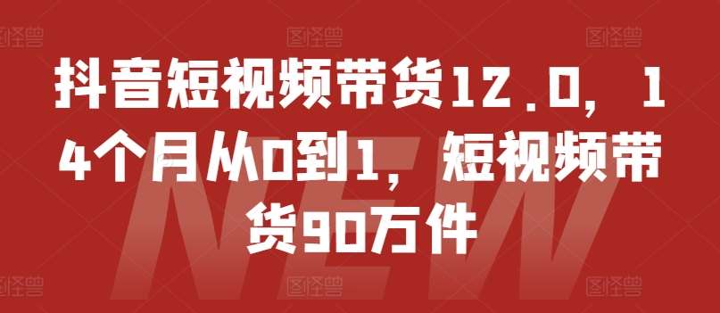 抖音短视频带货12.0，14个月从0到1，短视频带货90万件-时光论坛