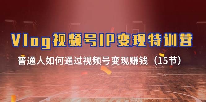 （11654期）Vlog 视频号IP变现特训营，普通人如何通过视频号变现赚钱（15节）-时光论坛